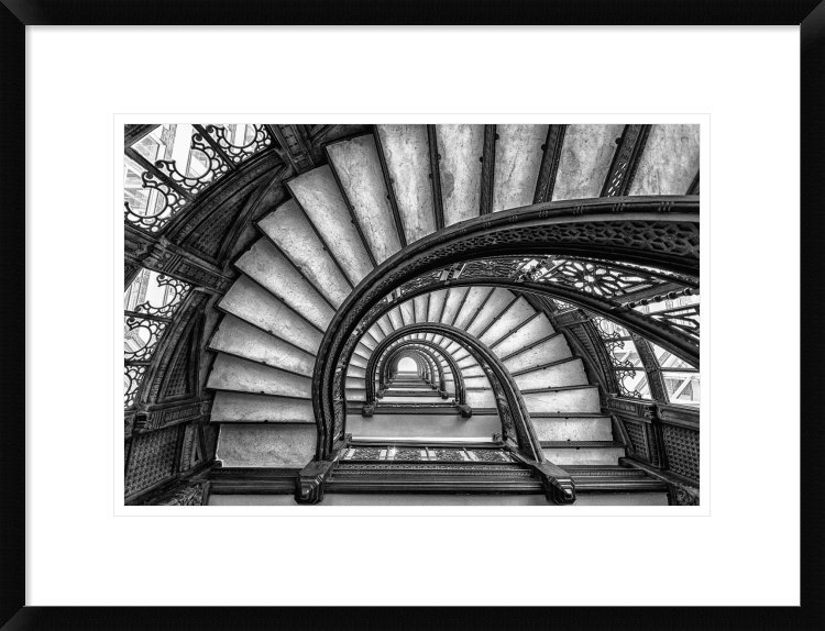 'The Rookery' by Yimei Sun Framed Photographic Print Global Gallery 