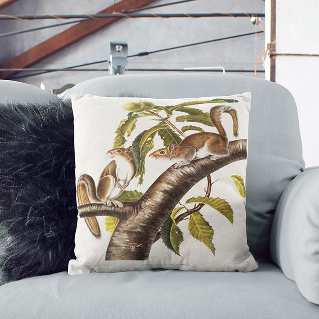 Carolina Grey Squirrels by J.W. Audubon Cushion with Filling