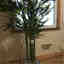 Customer photo 4 of 4