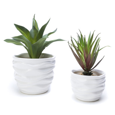 Davidjunior Ceramic Pot Planter
