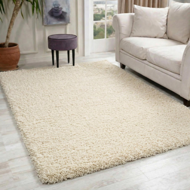 Esterly Ivory White Shaggy Rug, Rectangle 120 x 170cm