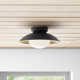Jason Single Light Glass Flush Mount