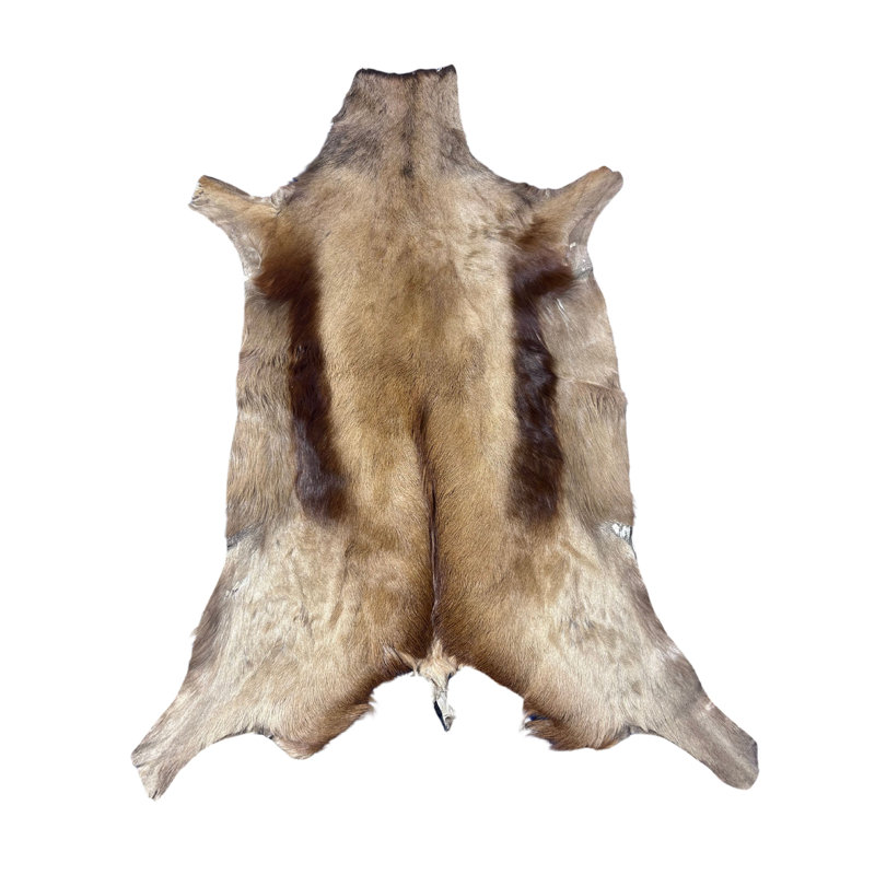 Naturally Copper Springbok Skin