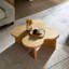 Table basse Modern-1293997023