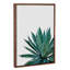 « agave cactus »-impression photographie-49905612-53128552