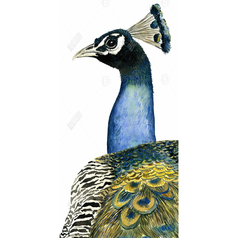 Watercolor peacock - 15.75"x31.50" Desk mat