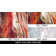 Nashota Performance Abstract Rug