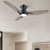 Elegis 44'' Ceiling Fan with LED Lights