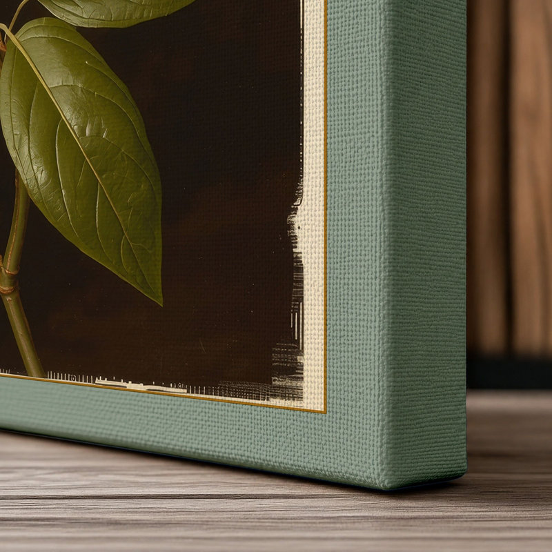 Pale Bloom Study Botanical - Wrapped Canvas, 36x24 - 91.4 x 61.0 cm, Sage Border