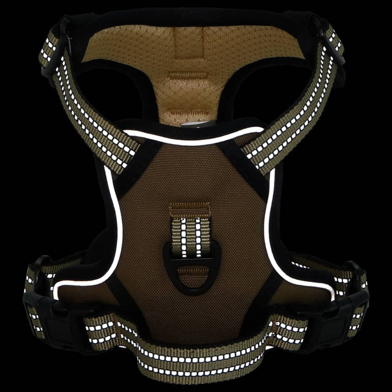 Pet Carrier, Brown
