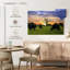 Brampt broutant Aberdeen Angus-106307598