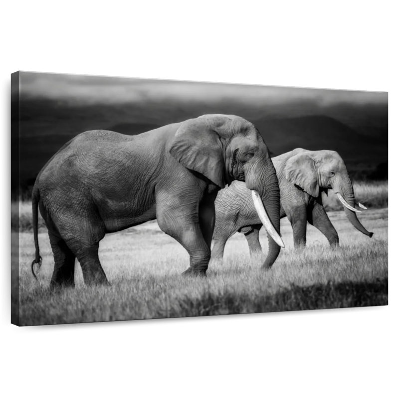 Éléphants kenyans qui paissent, H 26 po x l 39 po