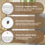 Meuble-lavabo de 24 po avec lavabo en céramique lisse, structure en bois massif et poignées élégantes en alliage de zinc pour un pied d'ambiance chic, sophistiqué et luxueux-1698512878-1698512879