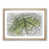 Oak Framed selected
