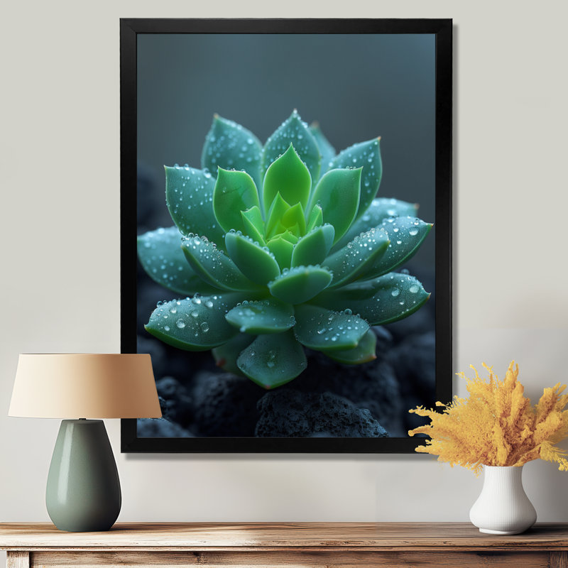 Gouttes de pluie vertes et grises sur un cactus du désert - décoration murale cactus floral, Toile encadrée noire simple