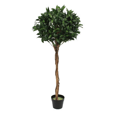 Faux Bay Topiary in Pot
