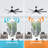 Cathreen 65'' Ceiling Fan with LED Lights