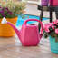 Classic 2 Gallon Plastic Indoor/Outdoor Watering Can-1324520658