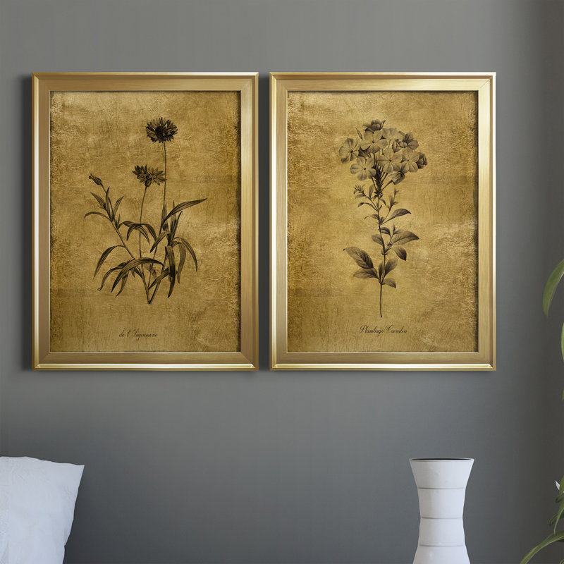 Gold Framed Botanical Sketch Canvas Print Set