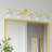 Grogan 5 - Light Dimmable Vanity Light-909257957