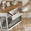 Table de bout décorative avec tiroir cannelé pour chien de 44,6 po-2008633826
