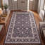 Tapis Cove2 traditionnel à motif floral intégral gris ivoire beige, lavable à la machine, antidérapant, à poils courts, pour l'intérieur et l'extérieur, adapté aux animaux domestiques, idéal pour le salon, la chambre, la salle à manger, l'entrée, le corridor ou le bureau.-2020639869