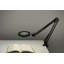 Adley Metal Clip On Lamp-382166582