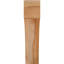 Attelle de genou Westlake-31230610-31230177-29310046
