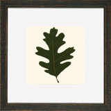 Small Pressed Leaves I Print