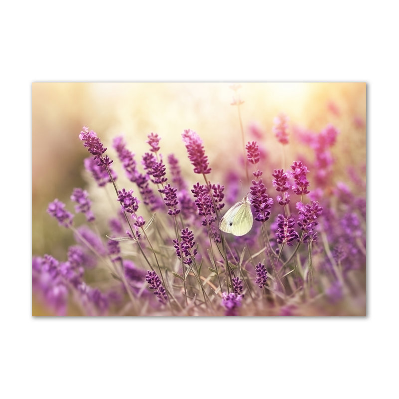 Lavender - No Frame Print on Canvas