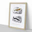 Salamander Illustrations PL. 18 by Charles d' Orbigny - Picture Frame Painting Print-55613440-55613438