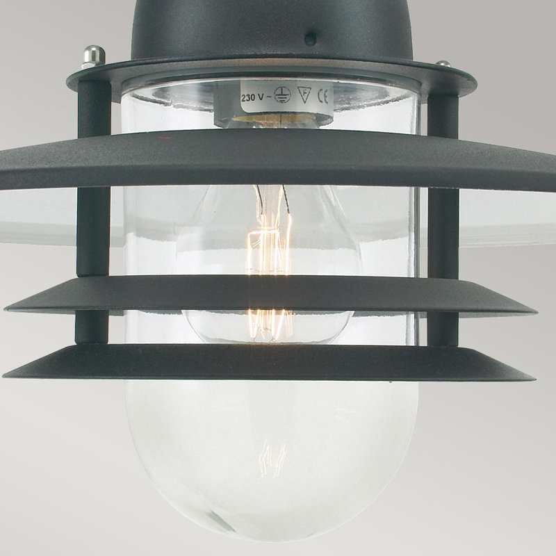 Hydesdale Outdoor Hanging Lantern, Black
