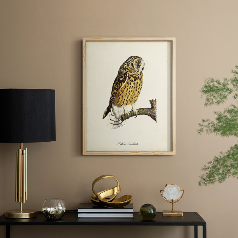 «French Owls II», reproduction encadrée - bois massif, H 30 po x l 24 po