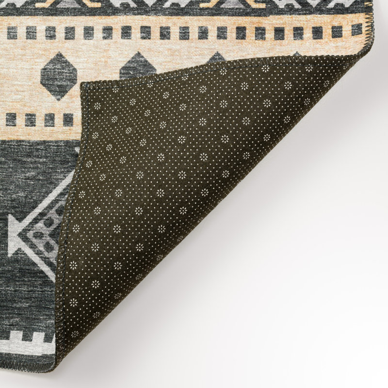 Anayssa Chenille Washable Southwestern Indoor / Outdoor Rug, Rectangle 9' x 12'