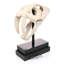 Saber-Toothed Tiger Skull Artifact Figurine