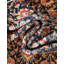 Tapis Rugs.com Afsaneh Boutique-103970305