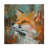 Animals Fox On Canvas Print-1867698348
