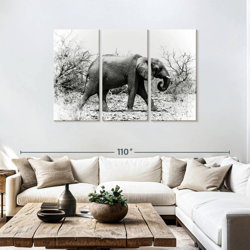 Éléphant d'Afrique au Botswana, H 48 po x l 74 po