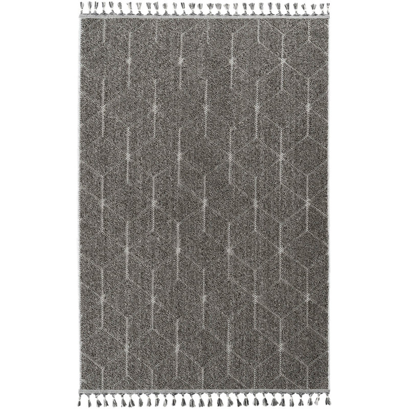 Runner Roever Machine Made Indoor / Outdoor Area Rug, Rectangle 200 x 290cm