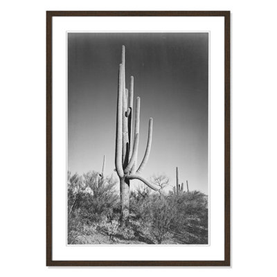Saguaro National Monument Print by Ansel Adams