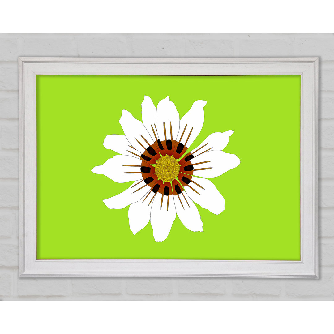 White Daisy Greens Gerahmter Druck