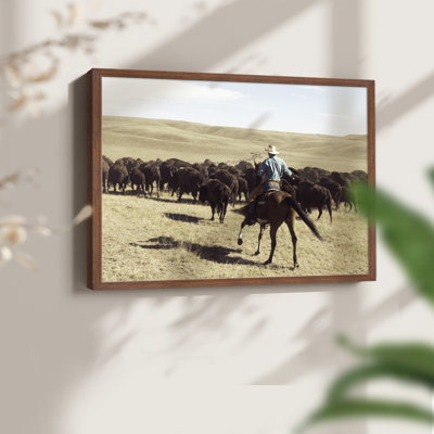 Bison Roundup - Reproduction encadrée - Restickable