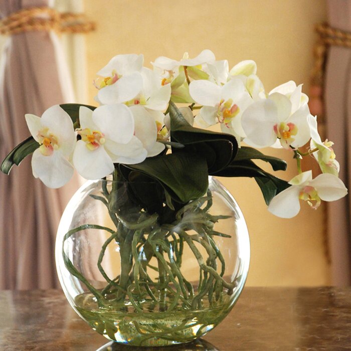 Jane Seymour Botanicals Glass Orchid Arrangement in Vase & Reviews ...