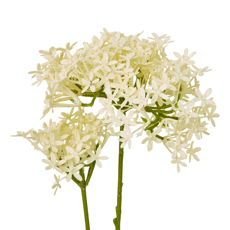 Hydrangea Arrangement, Cream