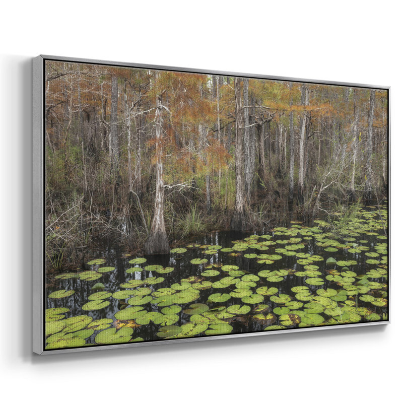 Bayou Fall, reproduction d'art sur toile, H 27 po x l 41 po x P 2 po, Argent