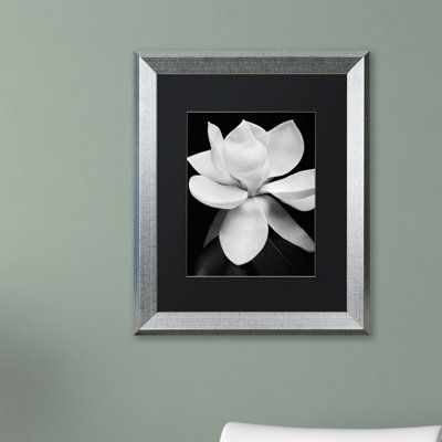 " Magnolia " by Michael Harrison
