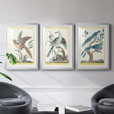 Pastel Birds IV - Birds With Foliage Wall Art, Matted and Framed Under Acrylic Glass, Set of 3, Study and Living Room Wall Art