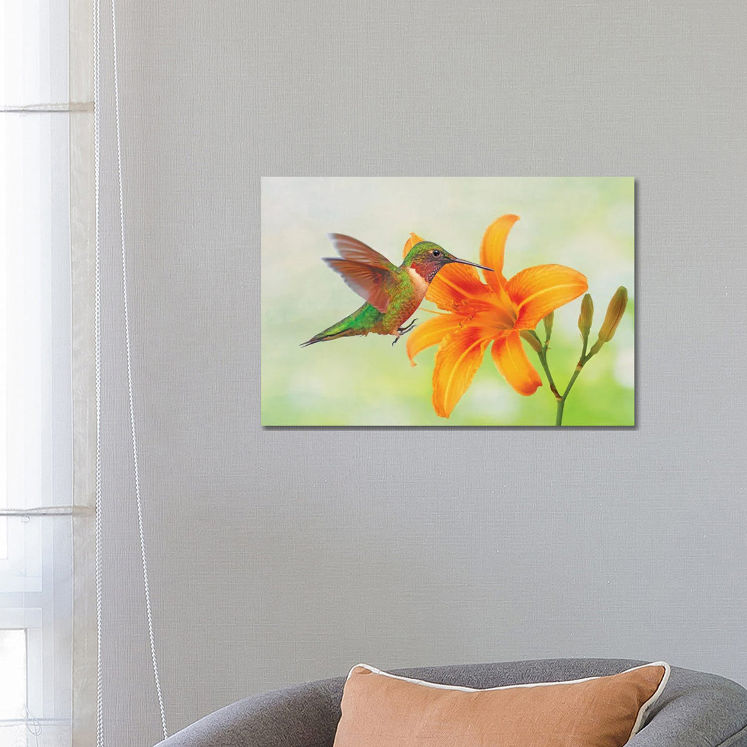 Kolibri und orangefarbene Taglilie von Laura D Young - Giclée auf Leinwand ohne Rahmen