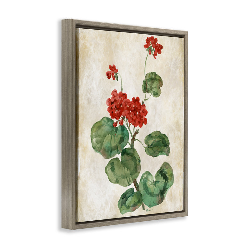 Cadre flottant Floral Journal, Cadre flottant orme Montalcino, H 21 po x l 17 po