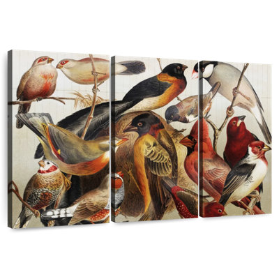 Collection d'oiseaux botaniques Brampt II